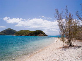Paddle Bay Track And Campsite - Accommodation Noosa 0