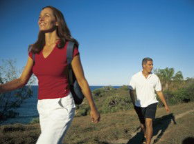 Telegraph Track - Accommodation Noosa 0