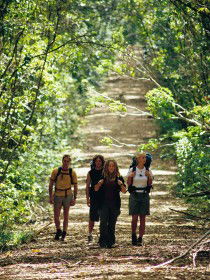 Wet Tropics Great Walk - Accommodation Noosa 0