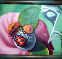 Kingaroy Shire Art Gallery - Accommodation Noosa