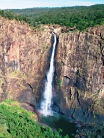 Buujan Quiinbiira Walk (Wet Tropics Great Walk) - Accommodation Noosa 0