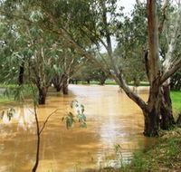 Saddliers Waterhole and Hamburg Creek - Accommodation Noosa