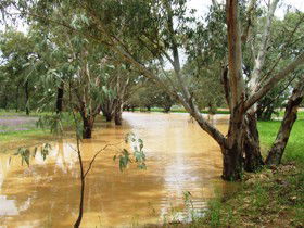Saddliers Waterhole And Hamburg Creek - Accommodation Noosa 0