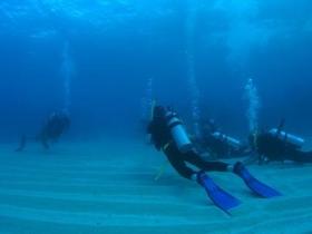 Egg Rock Dive Site - Accommodation Noosa 0