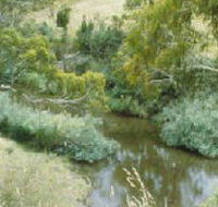 Yarrambat Park