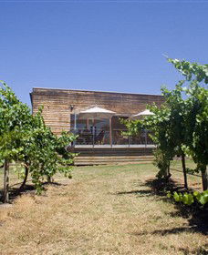 Shantell Vineyard - Accommodation Noosa 0