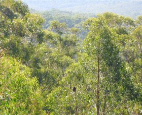 Bunyip State Park - Accommodation Noosa 0