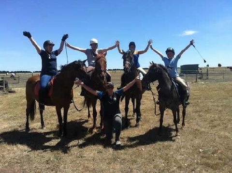 Saddle On Riding School - Accommodation Noosa 1