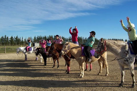 Saddle On Riding School - Accommodation Noosa 3
