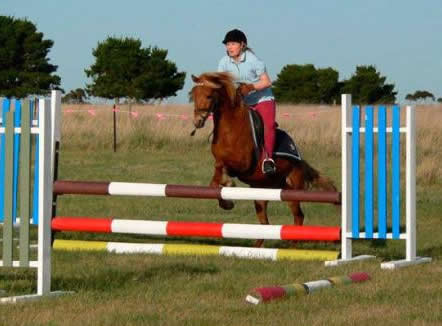 Saddle On Riding School - Accommodation Noosa 5
