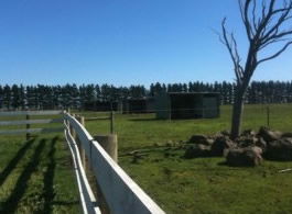 Saddle On Riding School - Accommodation Noosa 6