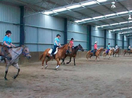 Saddle On Riding School - Accommodation Noosa 7