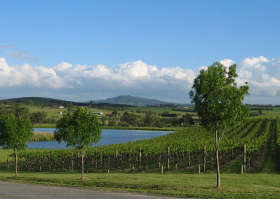 Yarrawood Estate - Accommodation Noosa 0