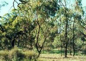 Fairley VIC Accommodation Noosa