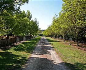 Waybourne Winery - Accommodation Noosa 0