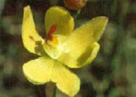 Langwarrin Flora And Fauna Reserve - Accommodation Noosa 0