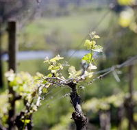 Eldridge Estate of Red Hill - Accommodation Noosa