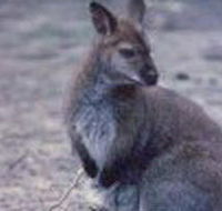 Churchill National Park - Accommodation Noosa