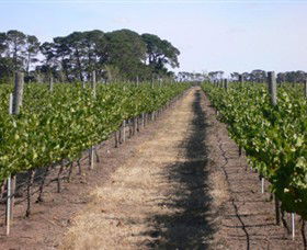 Mount Beckworth Wines - Accommodation Noosa 0