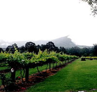 Cambewarra Estate Wines - Accommodation Noosa