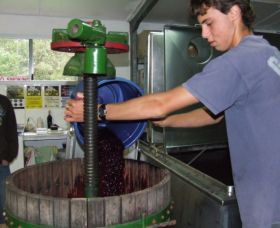 Fern Gully Winery - Accommodation Noosa 0