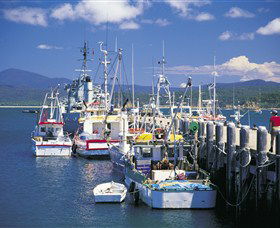 Eden NSW Accommodation Noosa