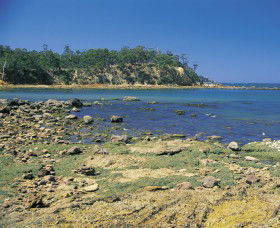 Aslings Beach - Accommodation Noosa 0
