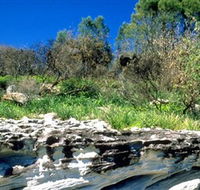Abrahams Bosom Reserve - Accommodation Noosa