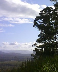 Sherwood Nature Reserve - Accommodation Noosa 0
