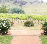 Brindabella Hills Winery - Accommodation Noosa