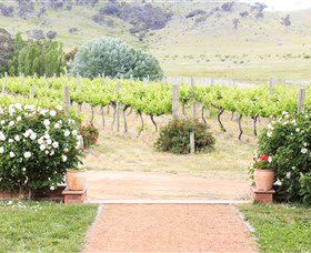 Brindabella Hills Winery - Accommodation Noosa 0