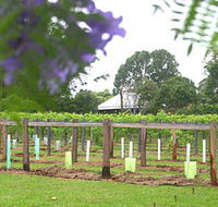 Douglas Vale Historic Homestead  Vineyard - Accommodation Noosa