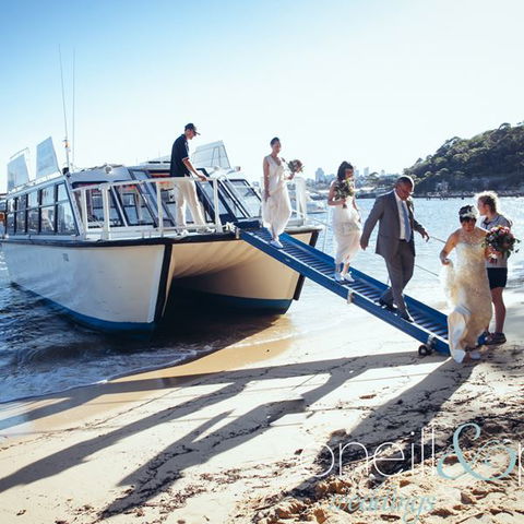 H2O Maxi Taxis - Accommodation Noosa 3