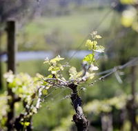 Galli Estate Winery - Accommodation Noosa