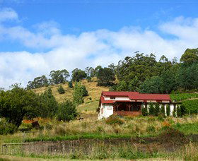 St Imre Vineyard - Accommodation Noosa 0