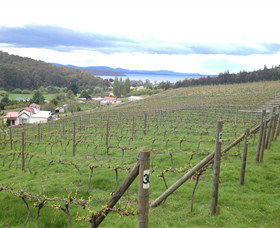 St Imre Vineyard - Accommodation Noosa 1