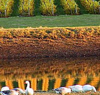 Pipers Brook Vineyard - Accommodation Noosa