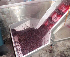 Cannibal Creek Vineyard - Accommodation Noosa 6