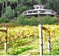 Peveril Vineyard/Beechy Berries - Accommodation Noosa