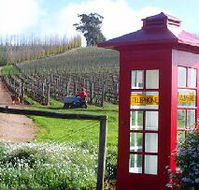 Dalrymple Vineyards - Accommodation Noosa