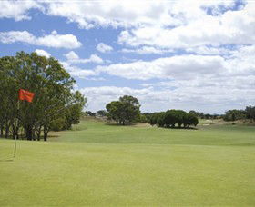 Curlewis Golf Club - Accommodation Noosa 1