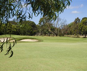 Curlewis Golf Club - Accommodation Noosa 0