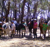 Bellarine Horse Riding Centre - Accommodation Noosa