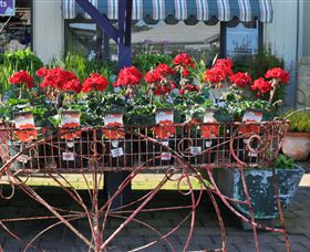 Van Loon's Nursery - Accommodation Noosa 0