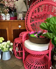 Van Loon's Nursery - Accommodation Noosa 3