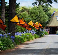 Oakdene Vineyards Restaurant and Cellar Door - Accommodation Noosa