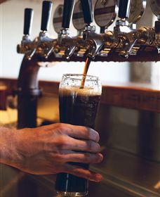 Napoleone Brewery And Ciderhouse - Accommodation Noosa 3