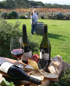 Kiltynane Wines - Accommodation Noosa 1