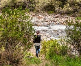 Old Mountain Road Walking Track - Accommodation Noosa 1