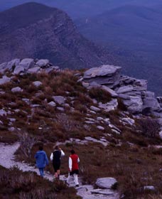 Bluff Knoll, Stirling Range National Park - Accommodation Noosa 0